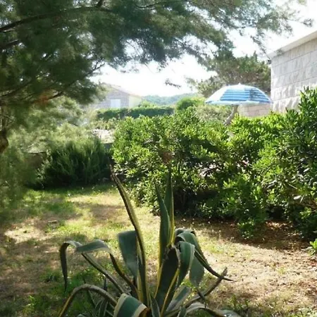 Rajko - 40 M From Apartment *