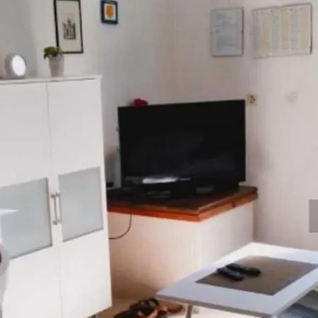 Rajko - 40 M From Apartment Povlja (Brac)