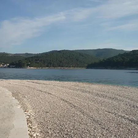 Apartment Rajko - 40 M From *