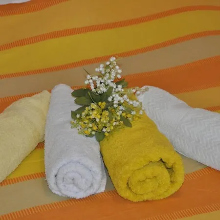 Apartment Rajko - 40 M From Povlja (Brac)