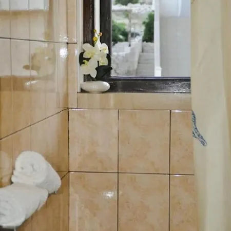 Rajko - 40 M From Apartment Povlja (Brac)